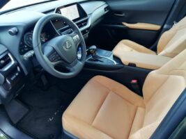 UX 250h Elegance Plus CVT