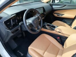 NX 450h+ Executive AWD CVT