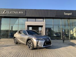 UX 300h Business Edition Tech e-CVT