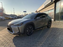 UX 300h Business Edition Tech e-CVT