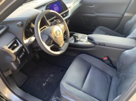 UX 300h Business Edition Tech e-CVT