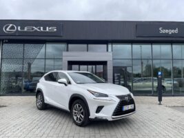 NX 300h Prestiege Safety CVT
