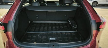 RX 450h+ Prestige e-CVT