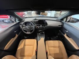UX 300h Business Edition Tech e-CVT