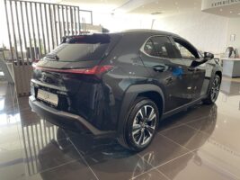 UX 300h Business Edition Tech e-CVT