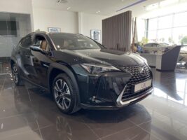 UX 300h Business Edition Tech e-CVT