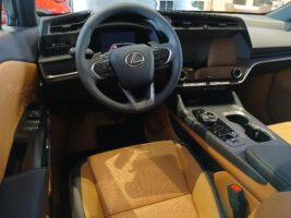 RZ 300e Prestige akár 3.9% THM