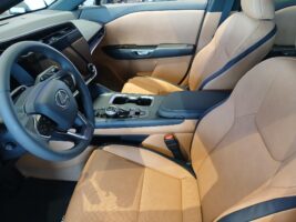 RZ 300e Prestige akár 3.9% THM