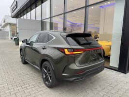 NX 450h+ Executive Top AWD CVT