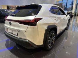 UX 300h Business Edition Tech e-CVT