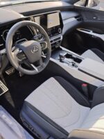 RX 500h F Sport Special Edition (Automata)