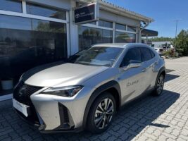 UX 300h F Sport Design e-CVT